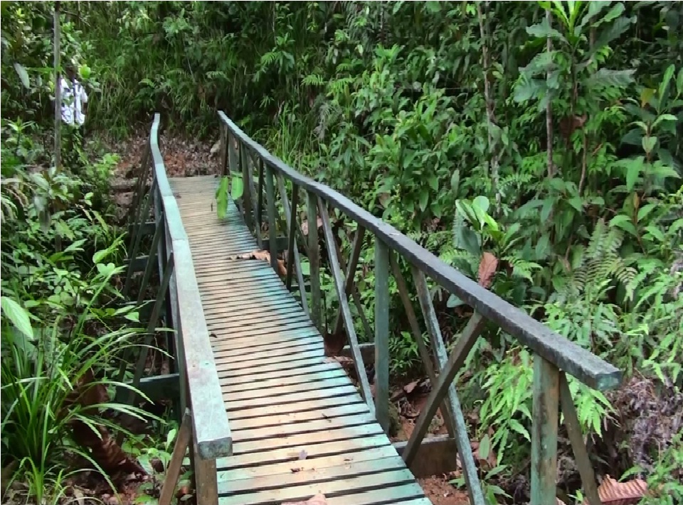 puente en madera plástica para cruzar ríos riachuelos caños puentes en maderas plásticas maderplast puente sobre distrito de riego agrícola caño rio riachuelo quebrada lago pantano humedales 01 puente en madera plástica para cruzar ríos riachuelos caños puentes en maderas plásticas maderplast puente sobre distrito de riego agrícola caño rio riachuelo quebrada lago pantano humedales 01